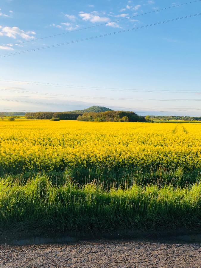 Nibylandia Motylkowa Nowa Wies Grodziska Exterior foto