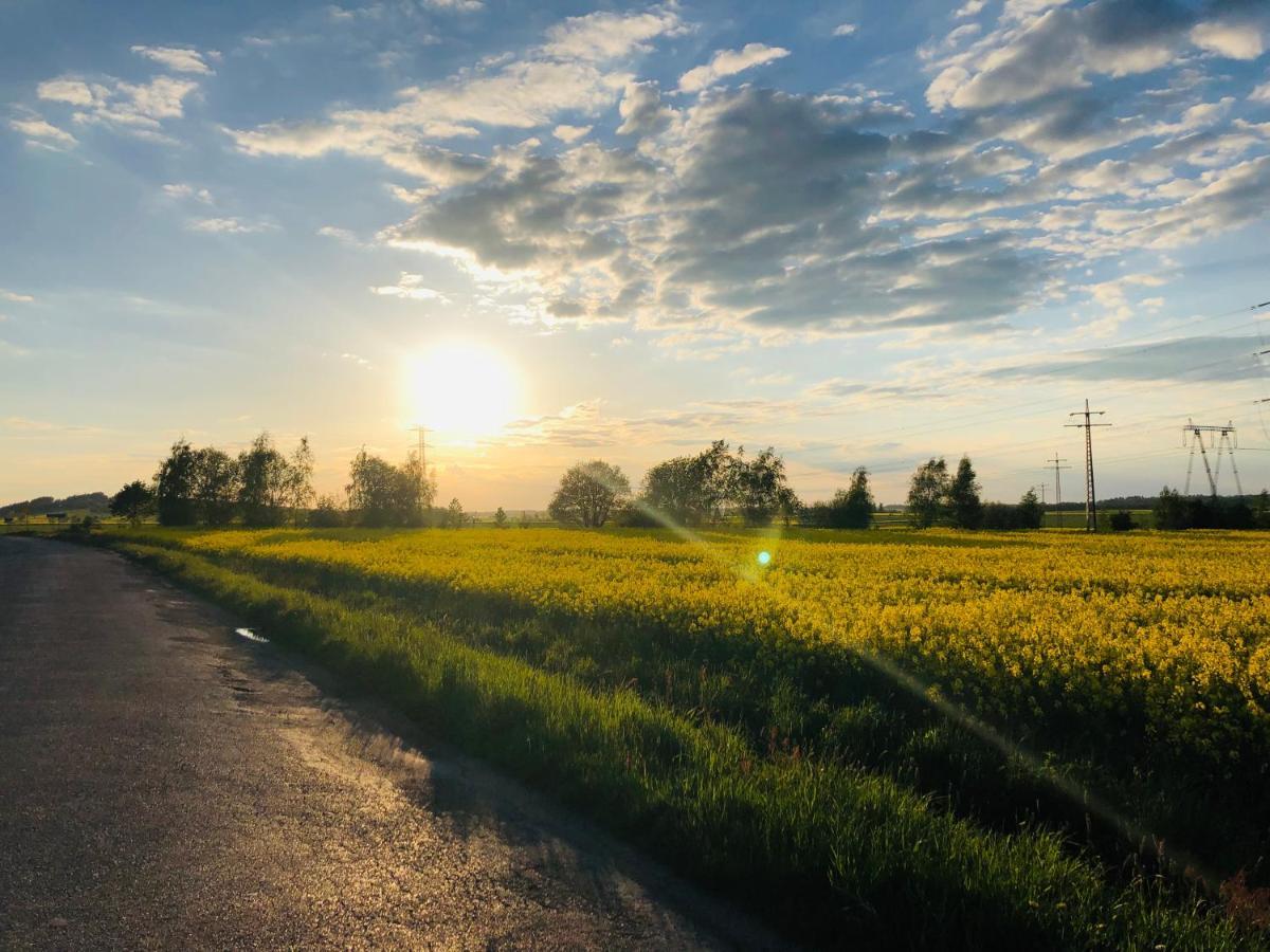 Nibylandia Motylkowa Nowa Wies Grodziska Exterior foto